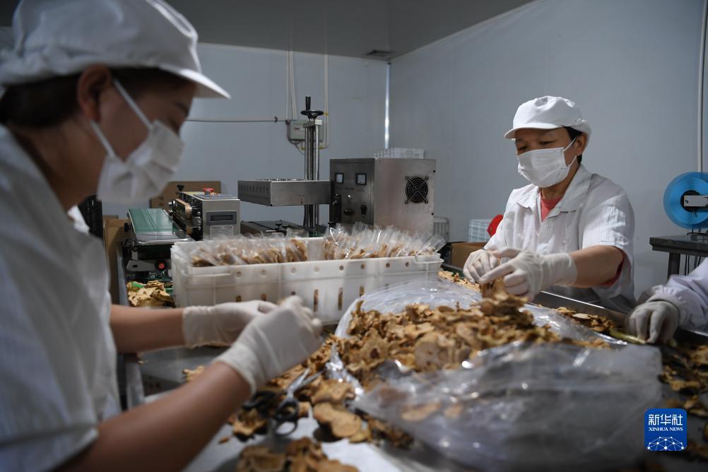 澳门赌场最低下注